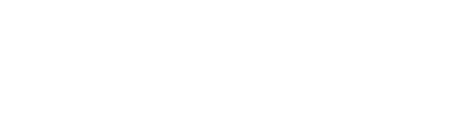 Logo Webflow