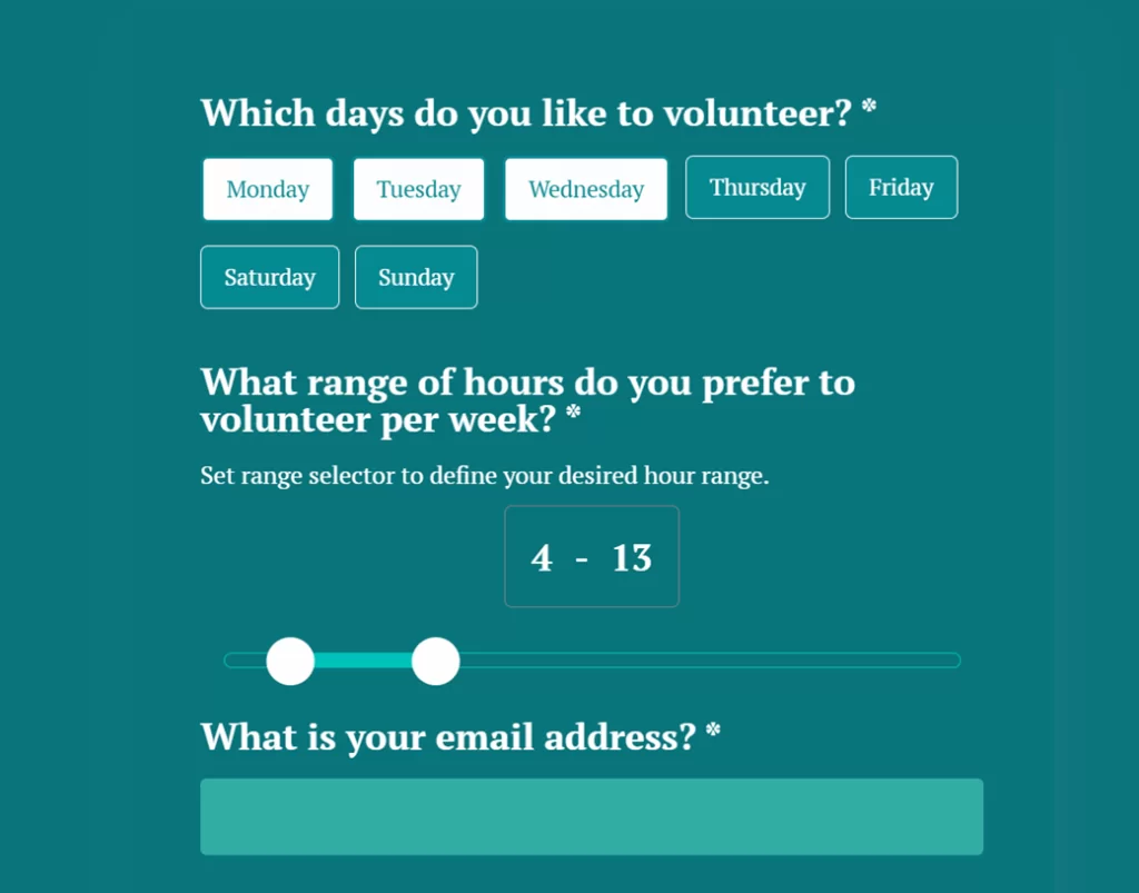 Volunteer Application Form