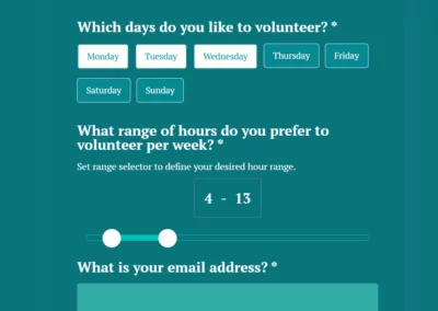 Volunteer Application Form
