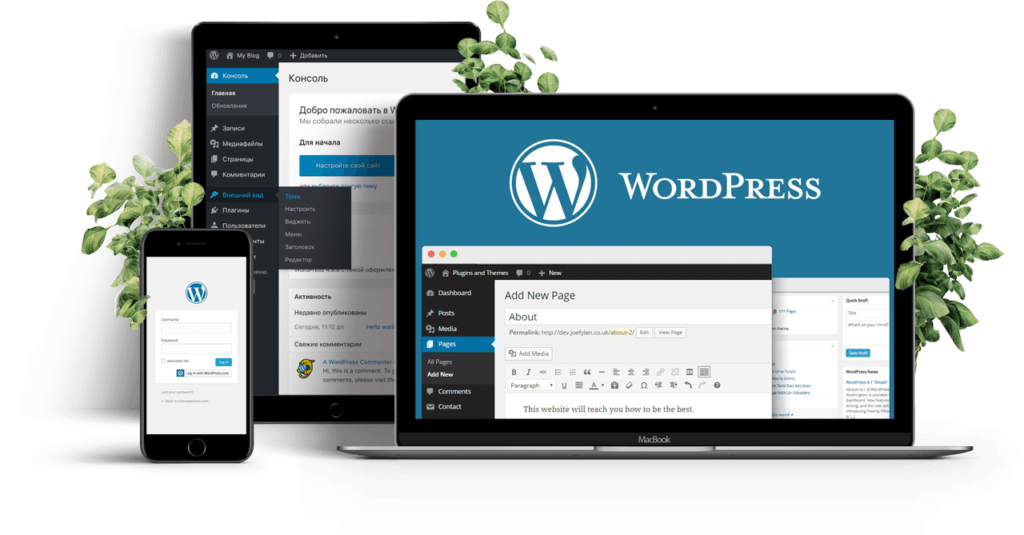 WordPress for Your B2B Website