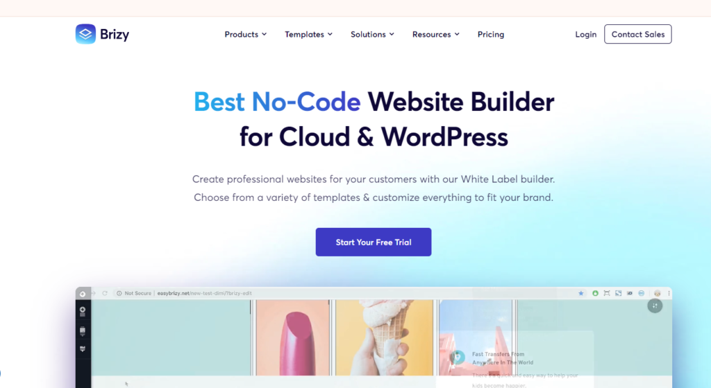 Brizy Wordpress b2b sites