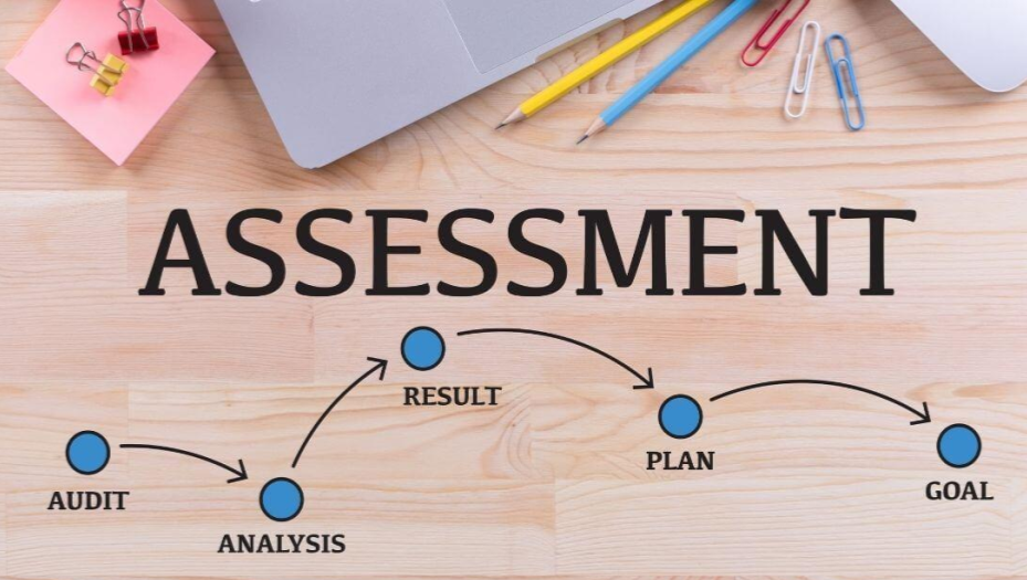 Data Assessment