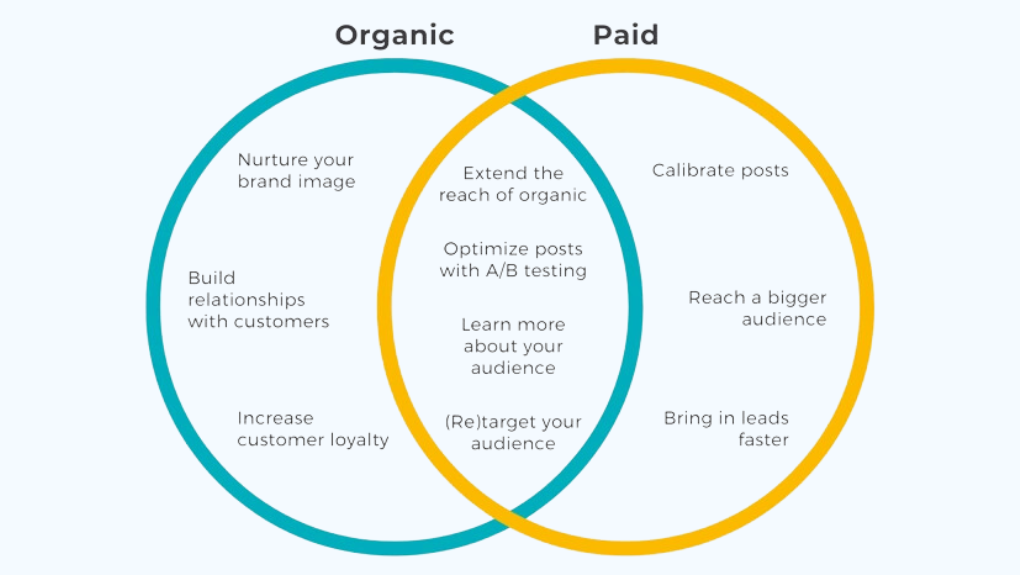 Organic & Paid Lead Generation