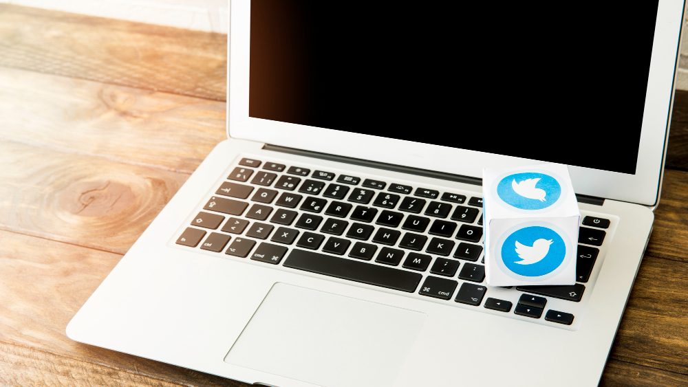 Twitter API Alternative