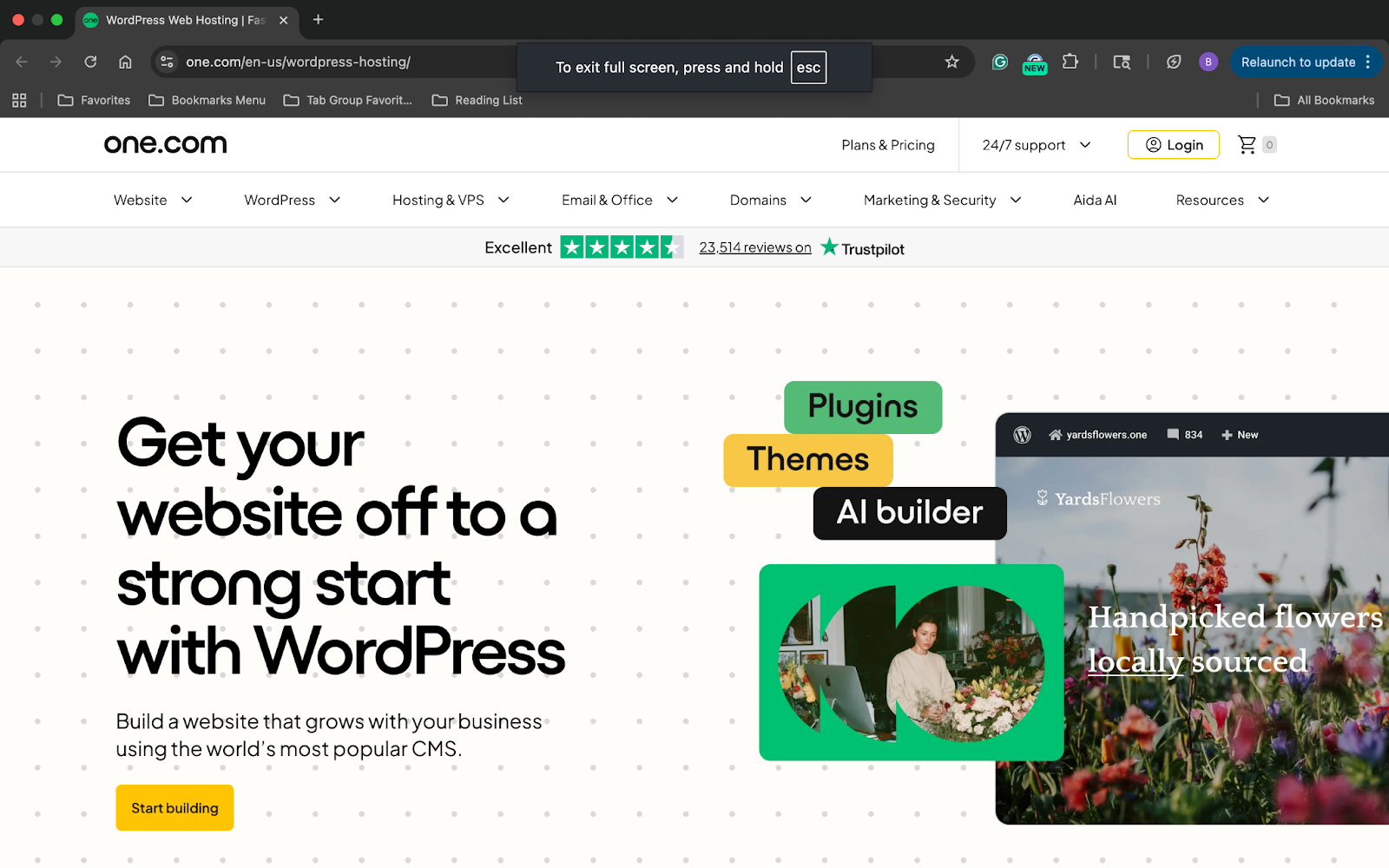 WordPress web hosting