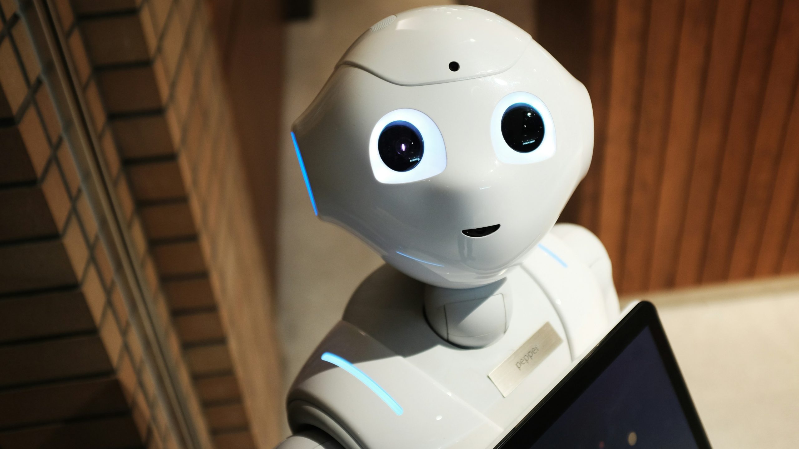 AI Bot